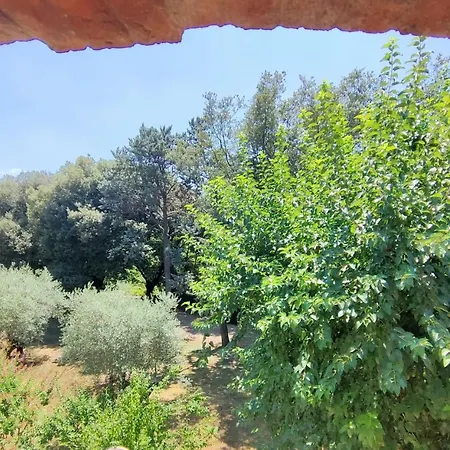 Pensionat Maregnago Relais